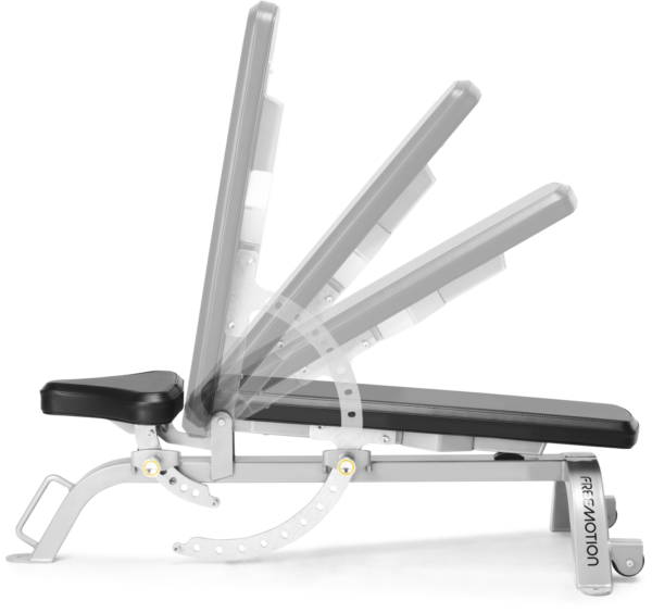 Freemotion Epic Abdominal Bench EF213