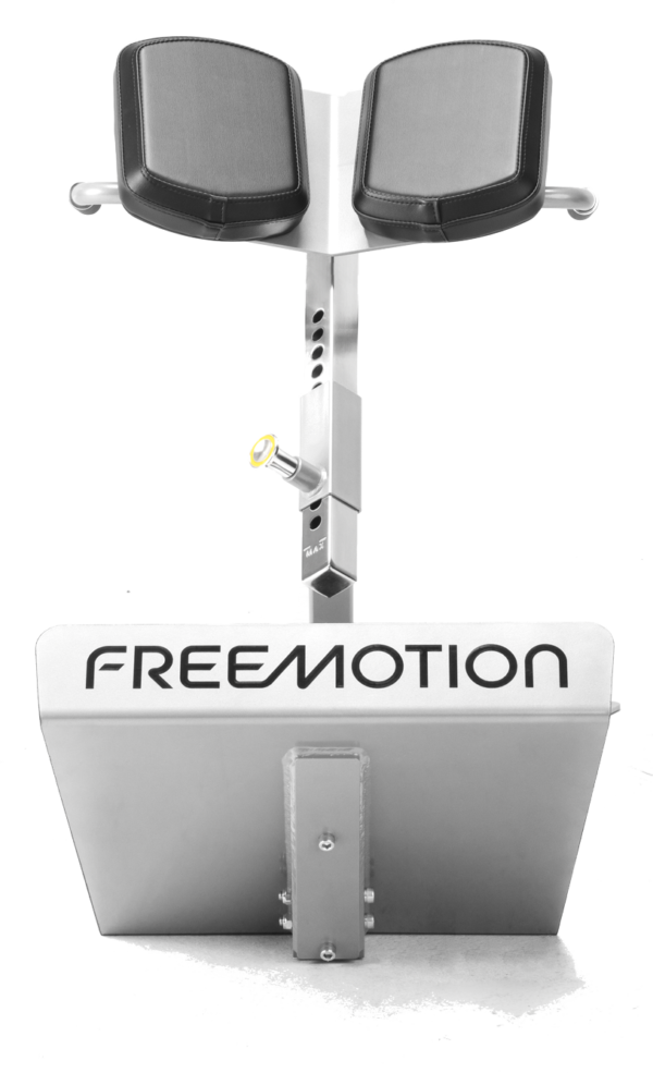 Freemotion Epic 45 Degree Back Extension EF206