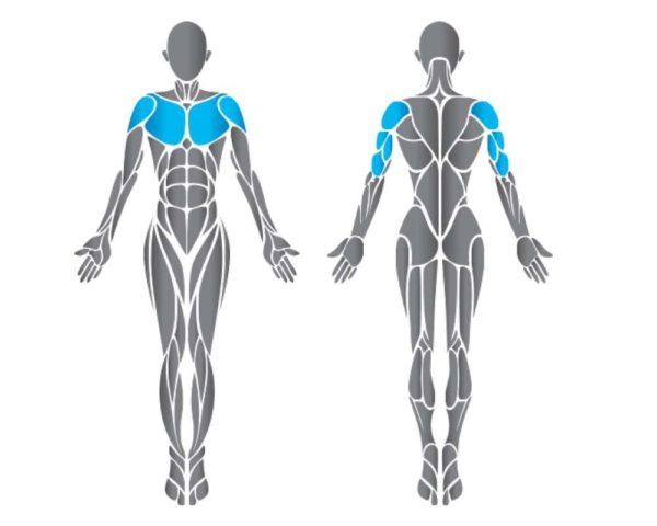 Precor Converging Chest Press Discovery Series - mellgép, összetartó mozgás