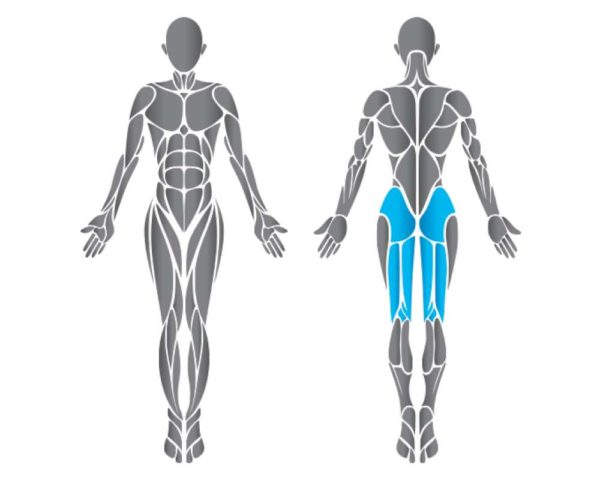 Technogym Element Glute- farizomgép