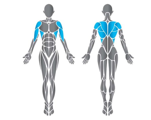 Matrix Diverging Lat Pulldown Ultra Series - lehúzó hátgép, széttartó mozgás