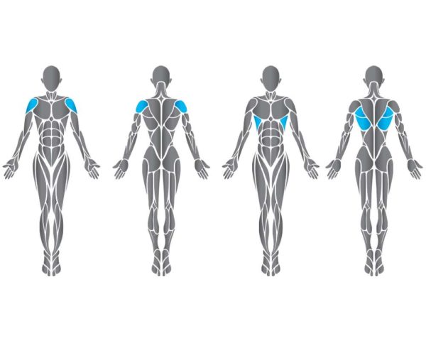 Matrix Diverging Seated Row Aura Series – ülő evezőgép, széttartó mozgás