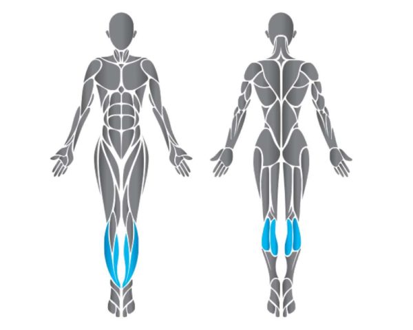 Flex FM18 Standing Calf álló vádligép