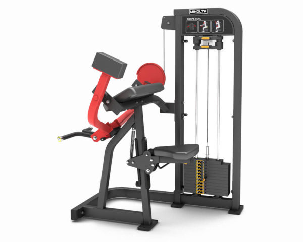 Flex FM09 Biceps Curl bicepsz gép